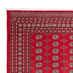 Afghansk teppe - Bukhara - 310 x 250 cm - rød