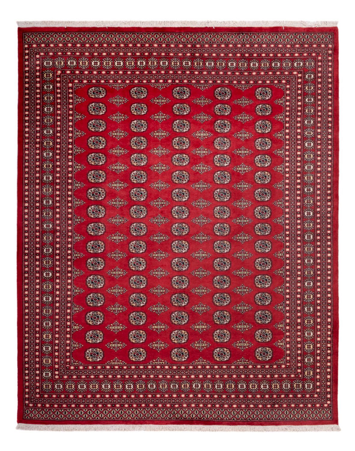 Afghansk teppe - Bukhara - 315 x 248 cm - rød