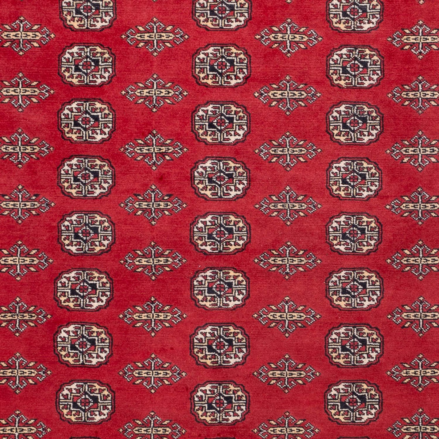Afghansk teppe - Bukhara - 315 x 248 cm - rød