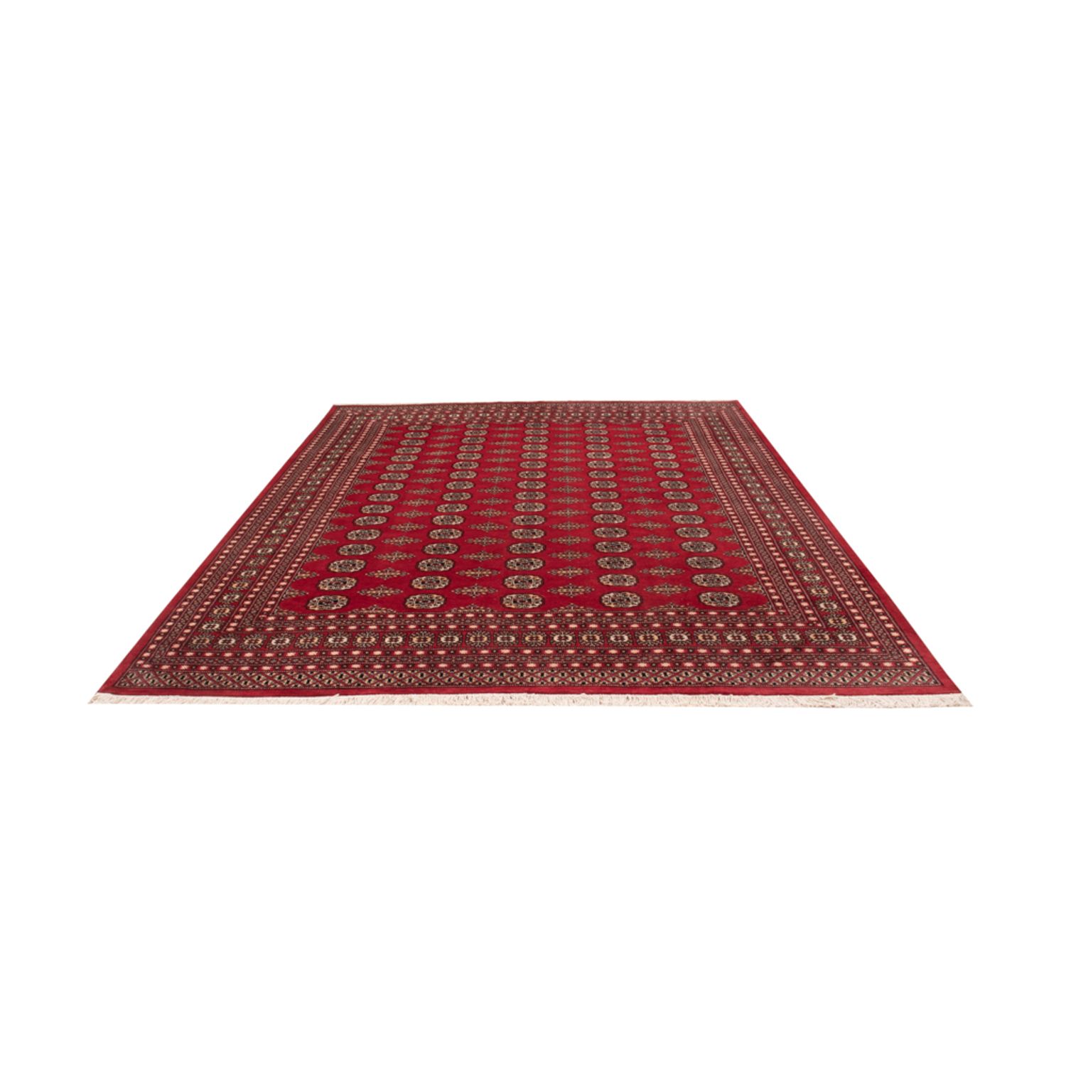 Afghansk teppe - Bukhara - 315 x 248 cm - rød