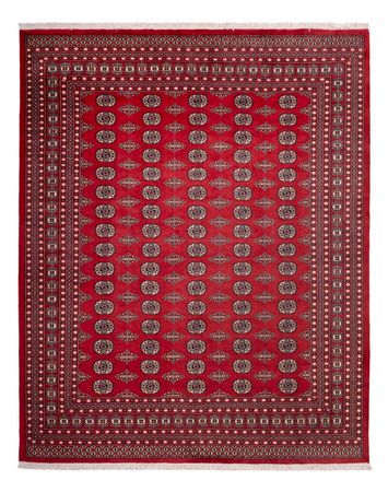 Afghansk teppe - Bukhara - 315 x 248 cm - rød