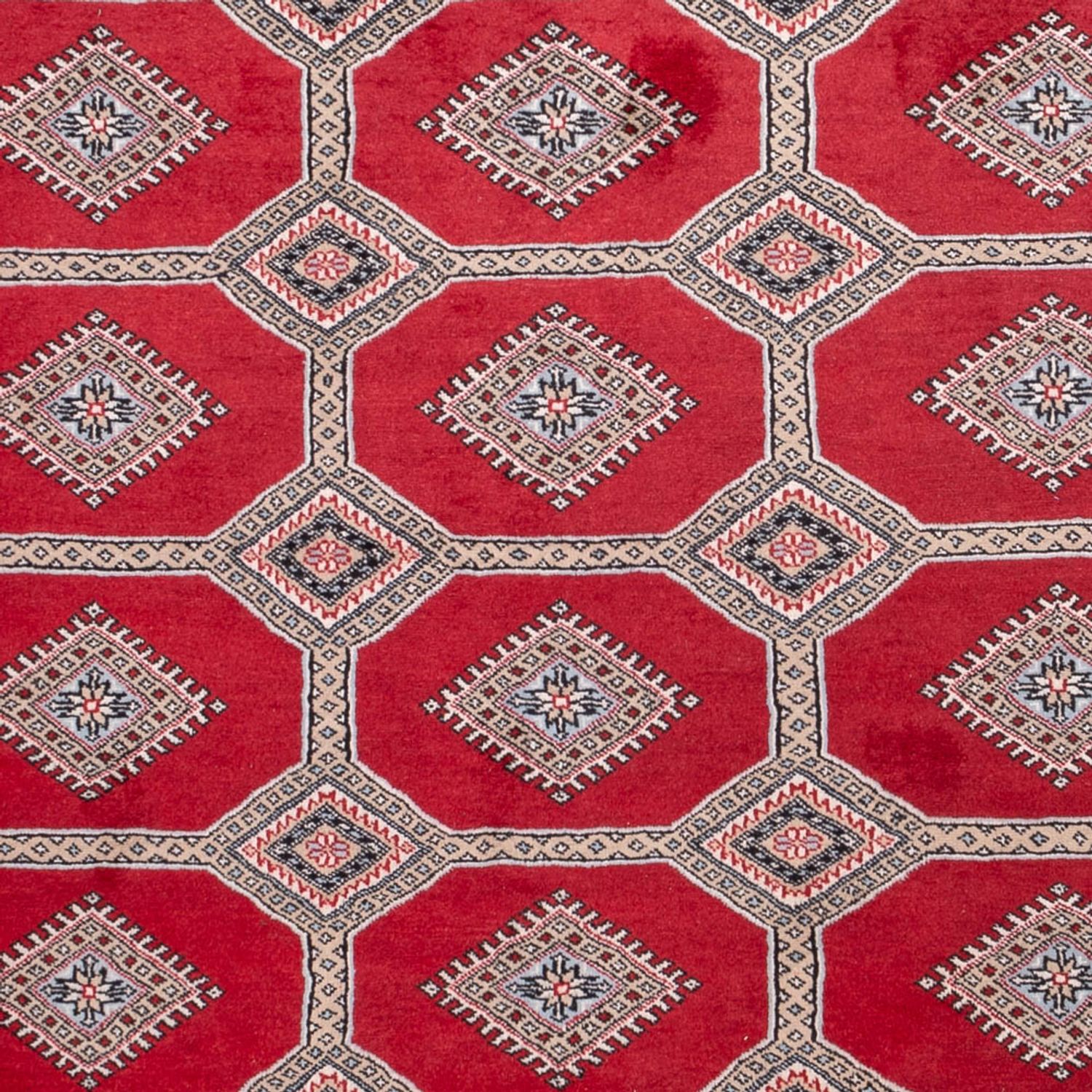 Afgański dywan - Bukhara - 287 x 220 cm - czerwony
