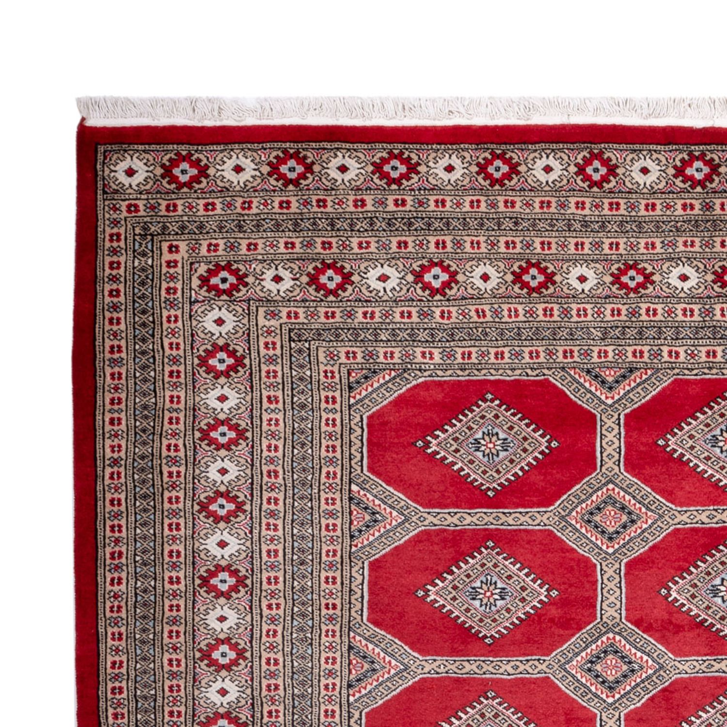 Afgański dywan - Bukhara - 287 x 220 cm - czerwony