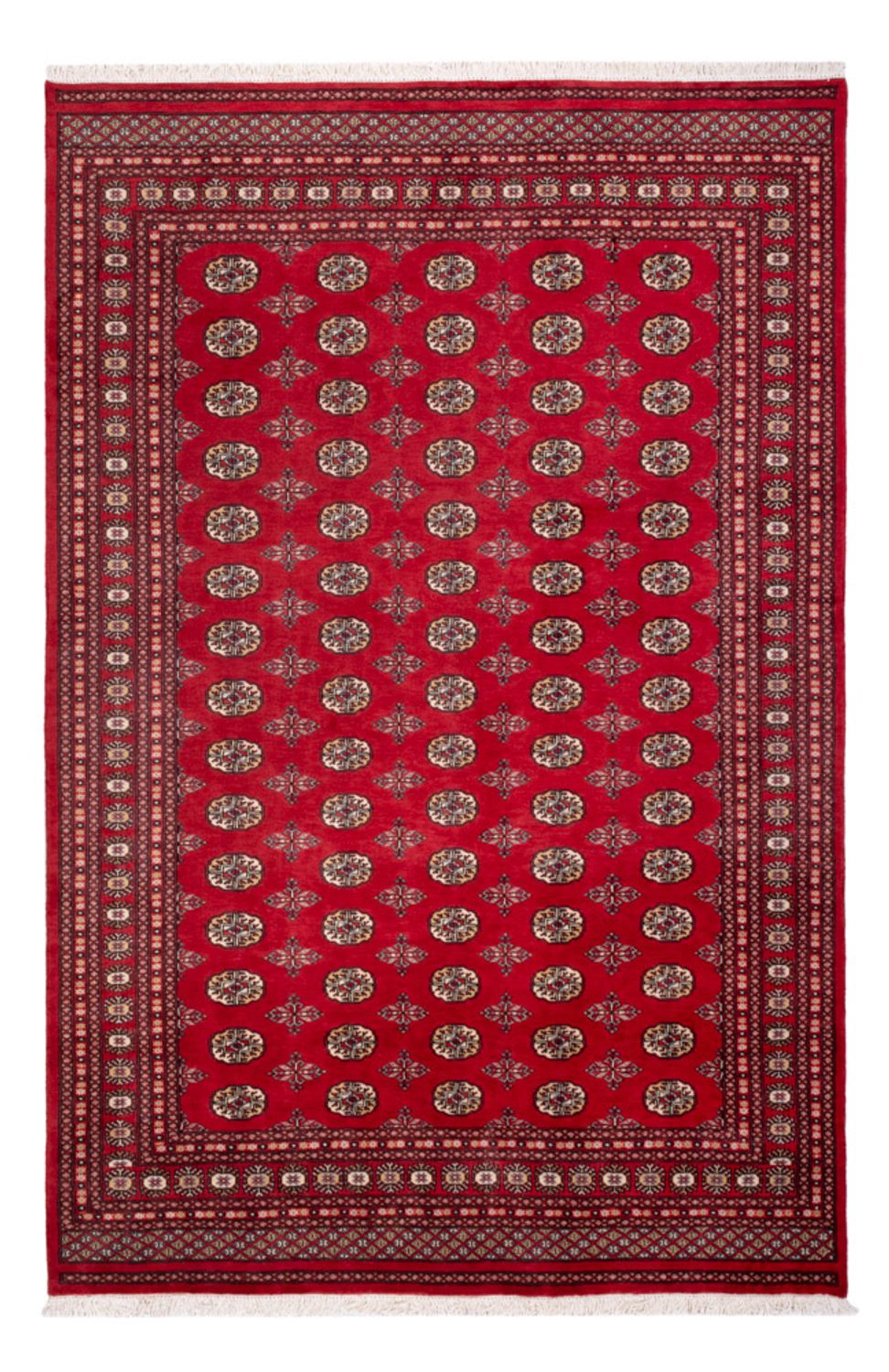 Afgański dywan - Bukhara - 298 x 198 cm - czerwony