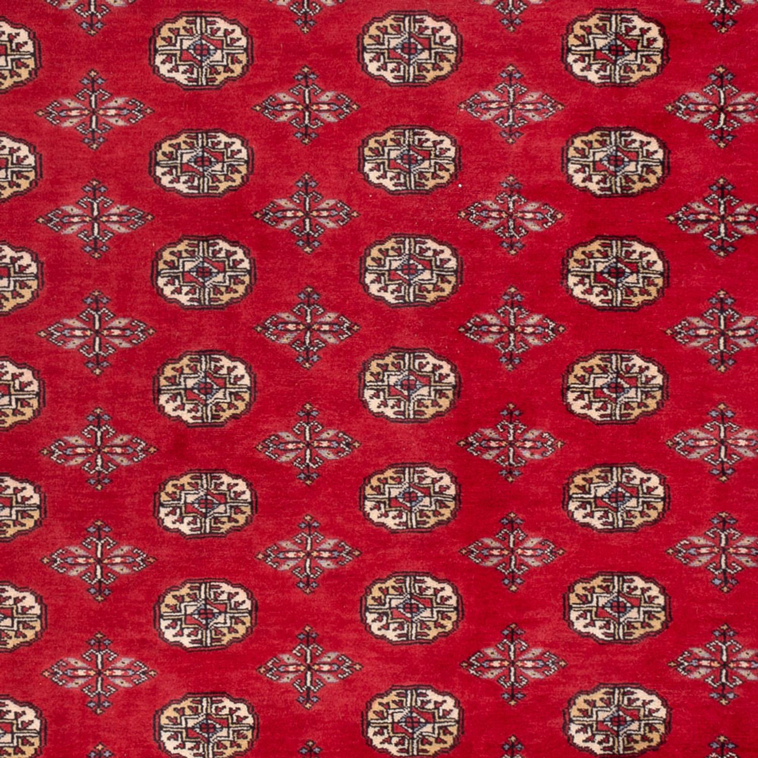 Afgański dywan - Bukhara - 298 x 198 cm - czerwony