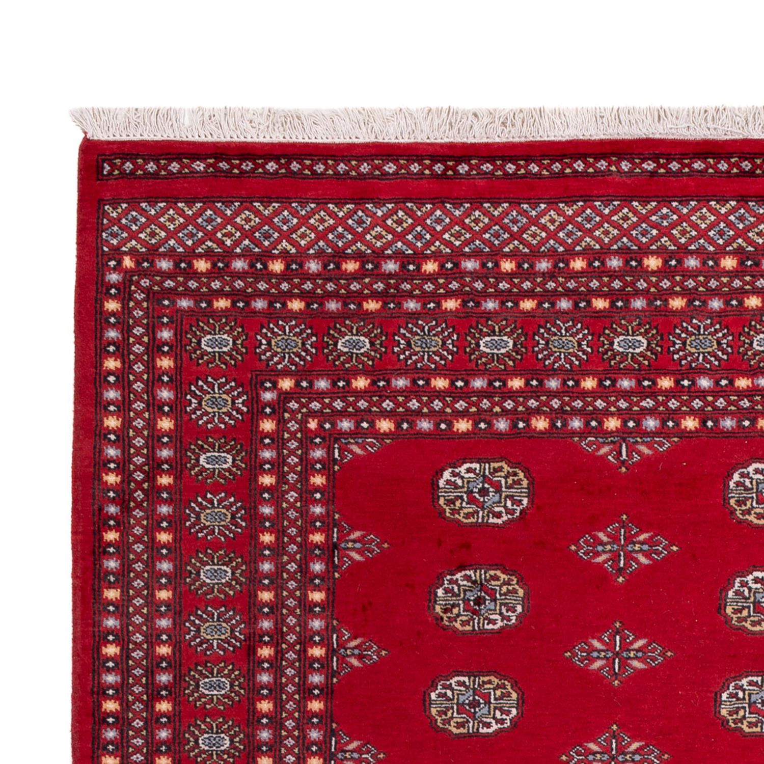 Afgański dywan - Bukhara - 303 x 205 cm - czerwony