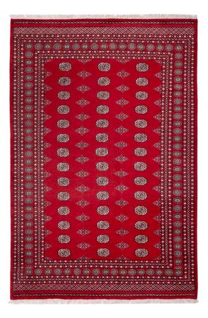 Afgański dywan - Bukhara - 303 x 205 cm - czerwony