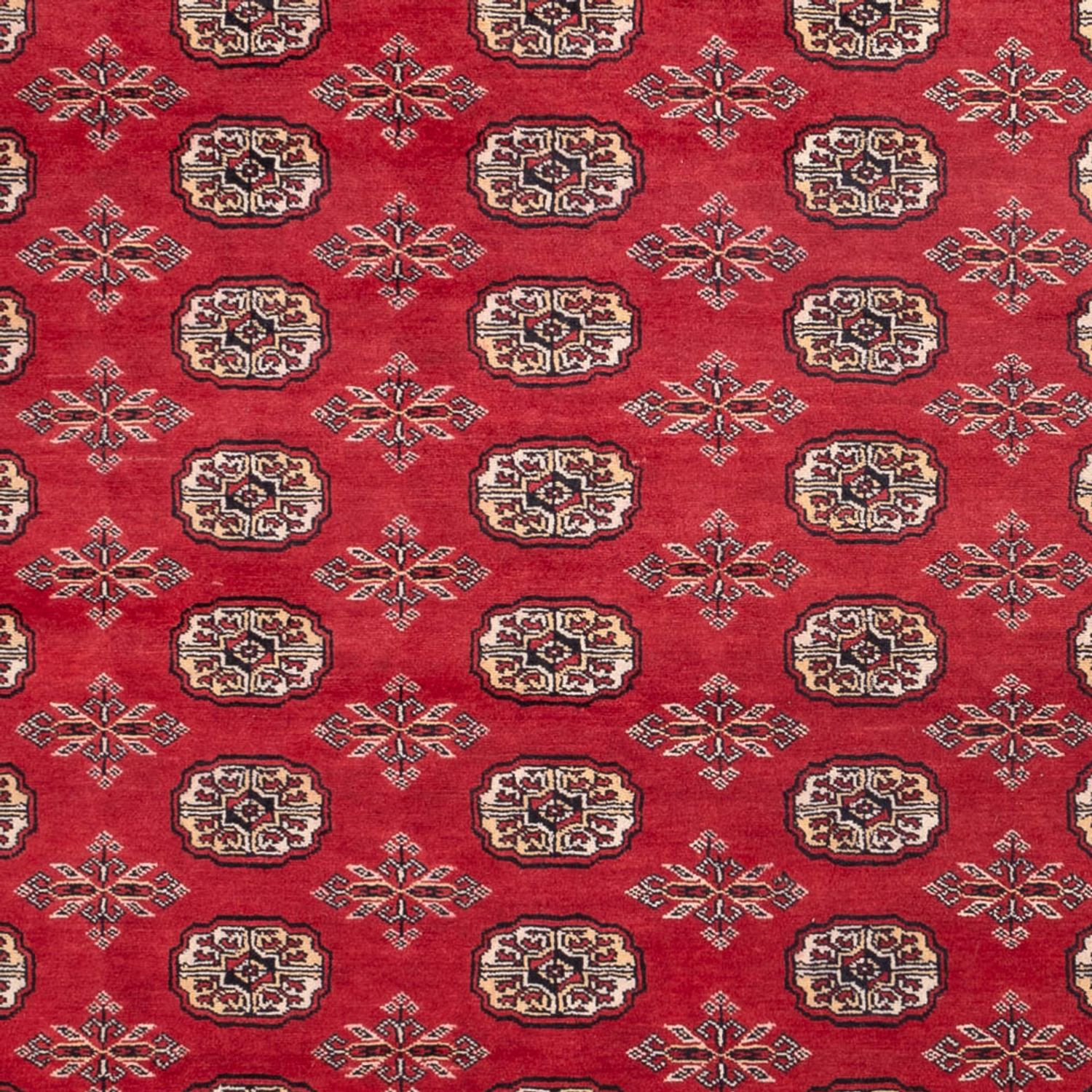 Afghaans tapijt - Bukhara - 297 x 220 cm - rood