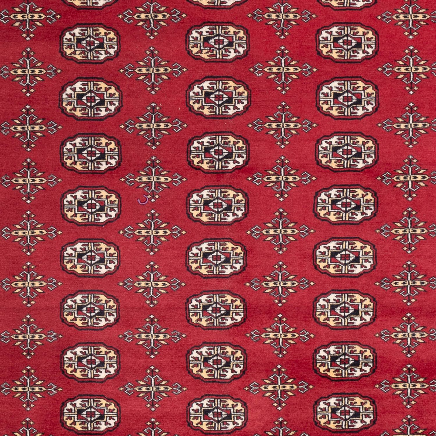 Afghansk teppe - Bukhara - 312 x 245 cm - rød
