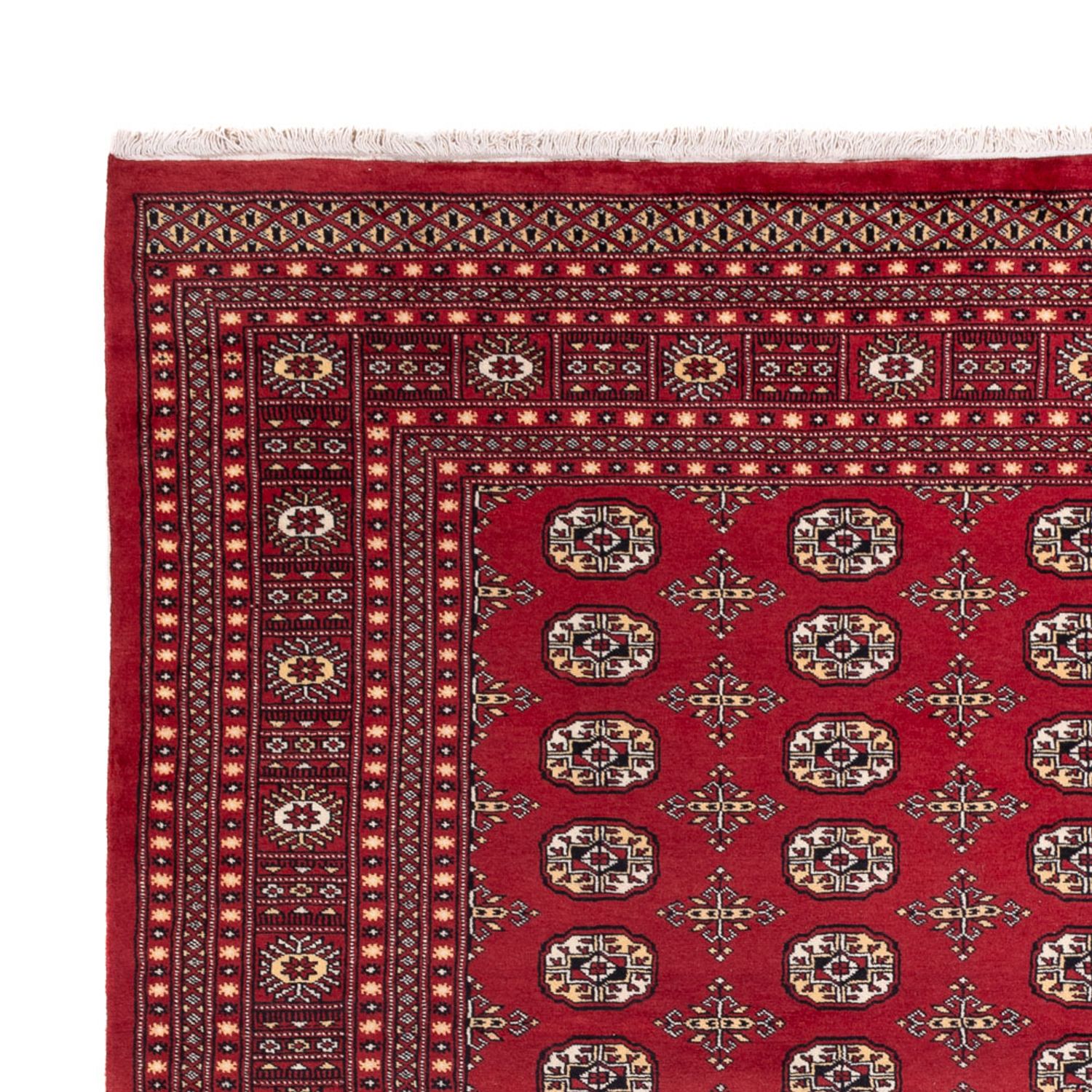 Afghansk teppe - Bukhara - 312 x 245 cm - rød