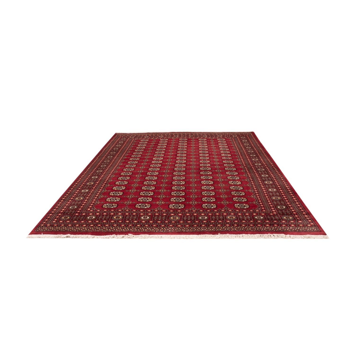 Afghansk teppe - Bukhara - 312 x 245 cm - rød
