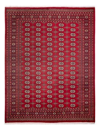 Afghansk teppe - Bukhara - 312 x 245 cm - rød