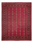 Afghansk teppe - Bukhara - 312 x 245 cm - rød
