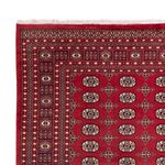 Afghansk teppe - Bukhara - 312 x 245 cm - rød