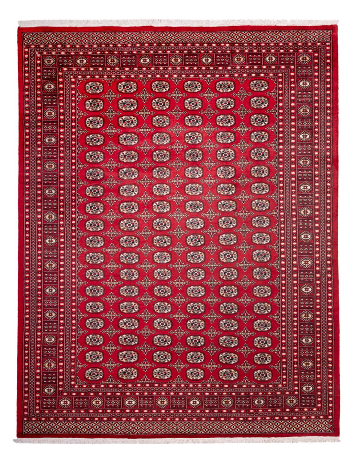Afgański dywan - Bukhara - 311 x 243 cm - czerwony