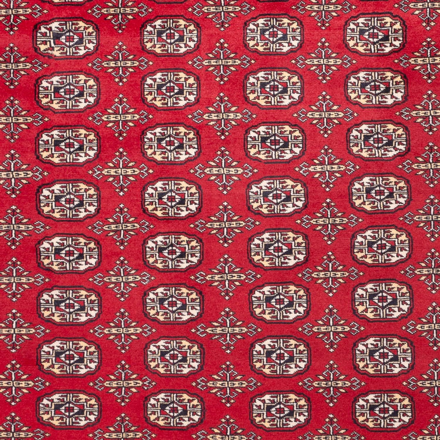 Afgański dywan - Bukhara - 311 x 243 cm - czerwony