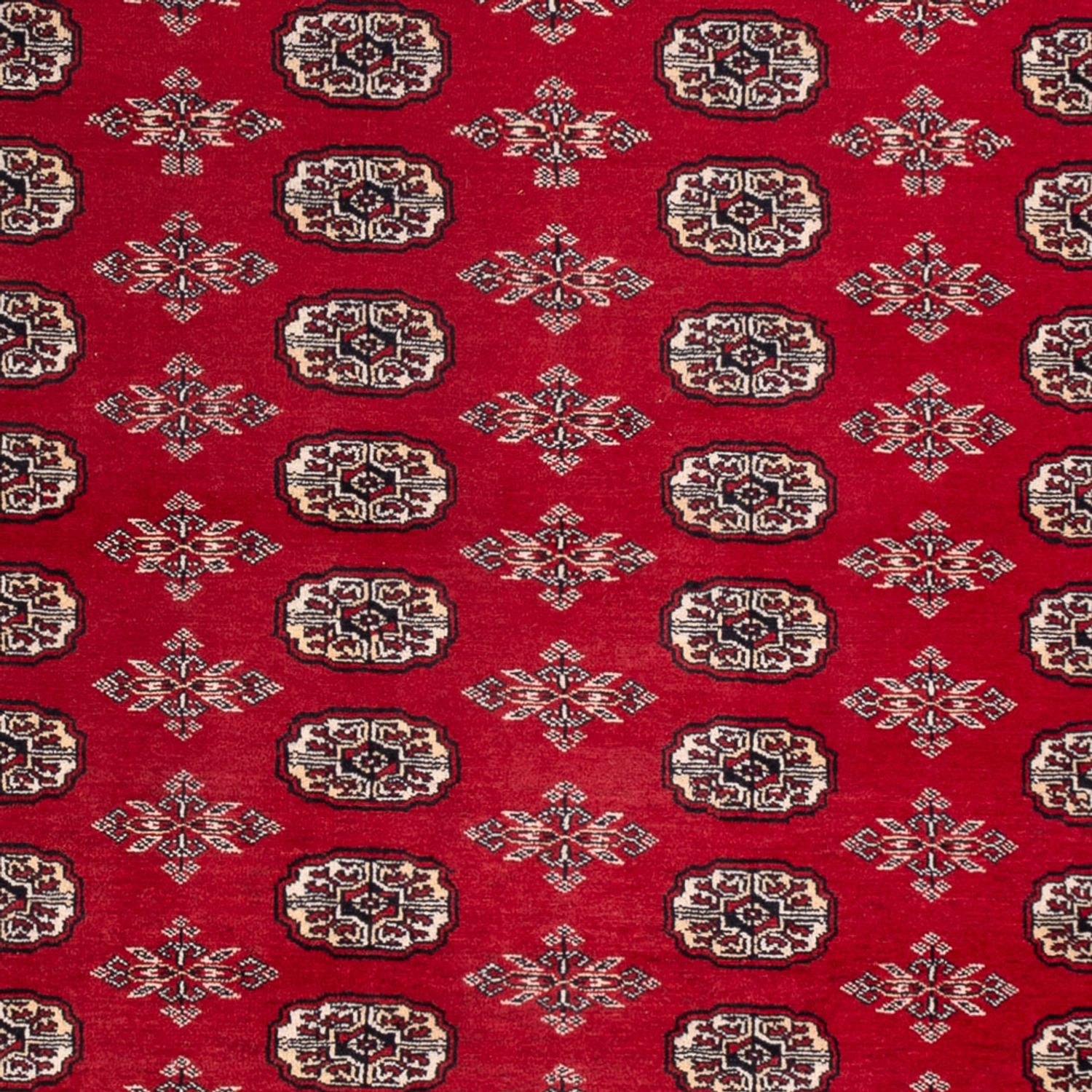 Afghaans tapijt - Bukhara - 297 x 213 cm - rood