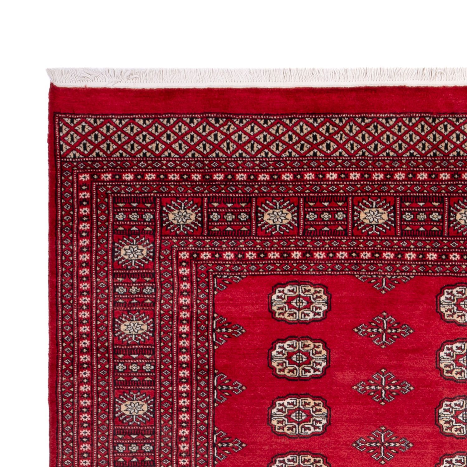Afgański dywan - Bukhara - 306 x 197 cm - czerwony