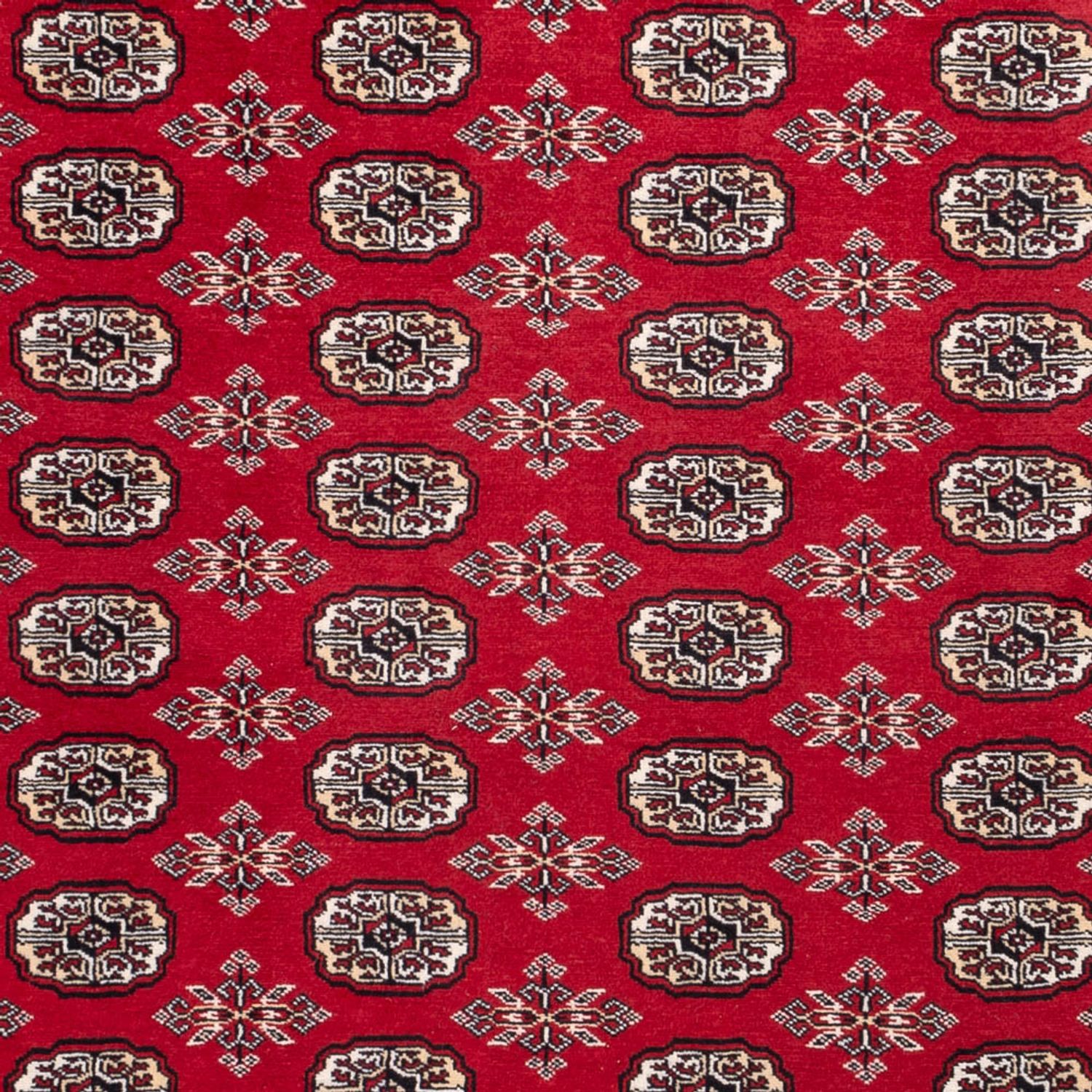 Afghansk matta - Bukhara - 302 x 199 cm - röd