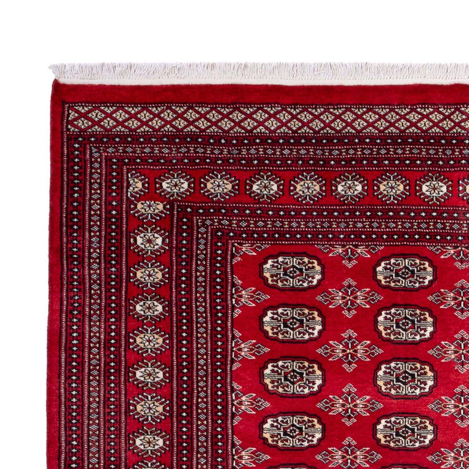 Afghansk matta - Bukhara - 302 x 199 cm - röd