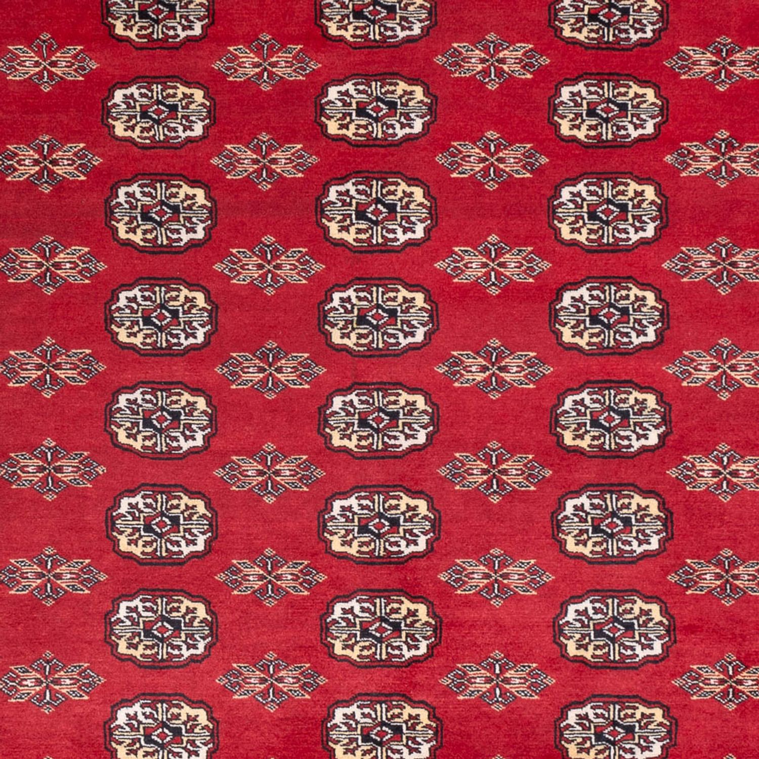 Afghan Teppich - Buchara - 307 x 247 cm - rot