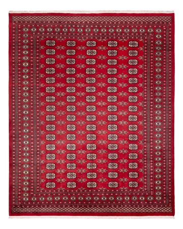 Afghan Teppich - Buchara - 307 x 247 cm - rot