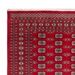 Afghan Teppich - Buchara - 307 x 247 cm - rot