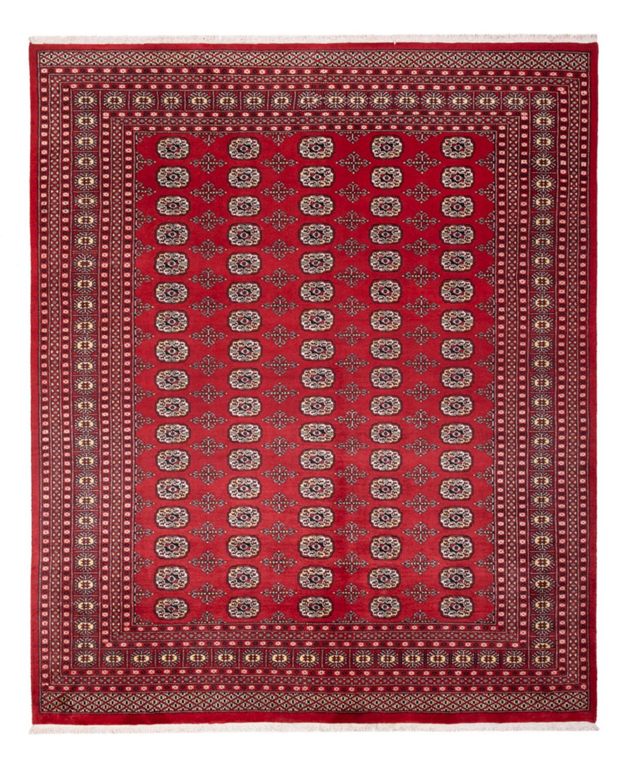 Afghansk teppe - Bukhara - 298 x 243 cm - rød