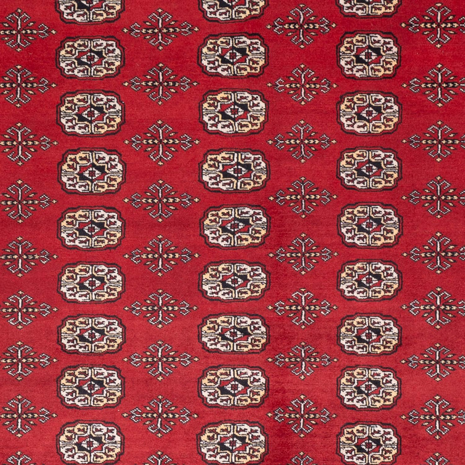 Afghansk teppe - Bukhara - 298 x 243 cm - rød