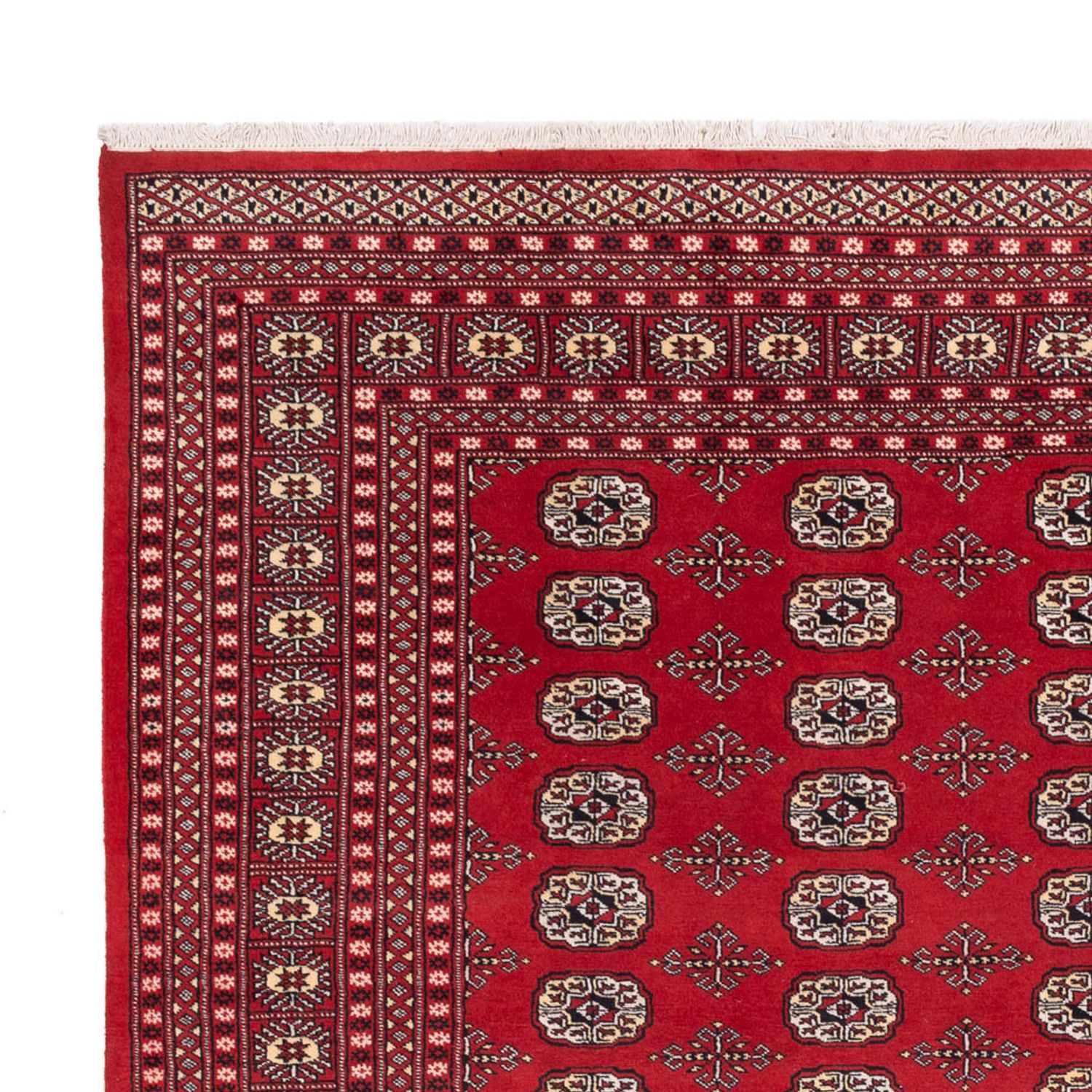 Afghansk teppe - Bukhara - 298 x 243 cm - rød