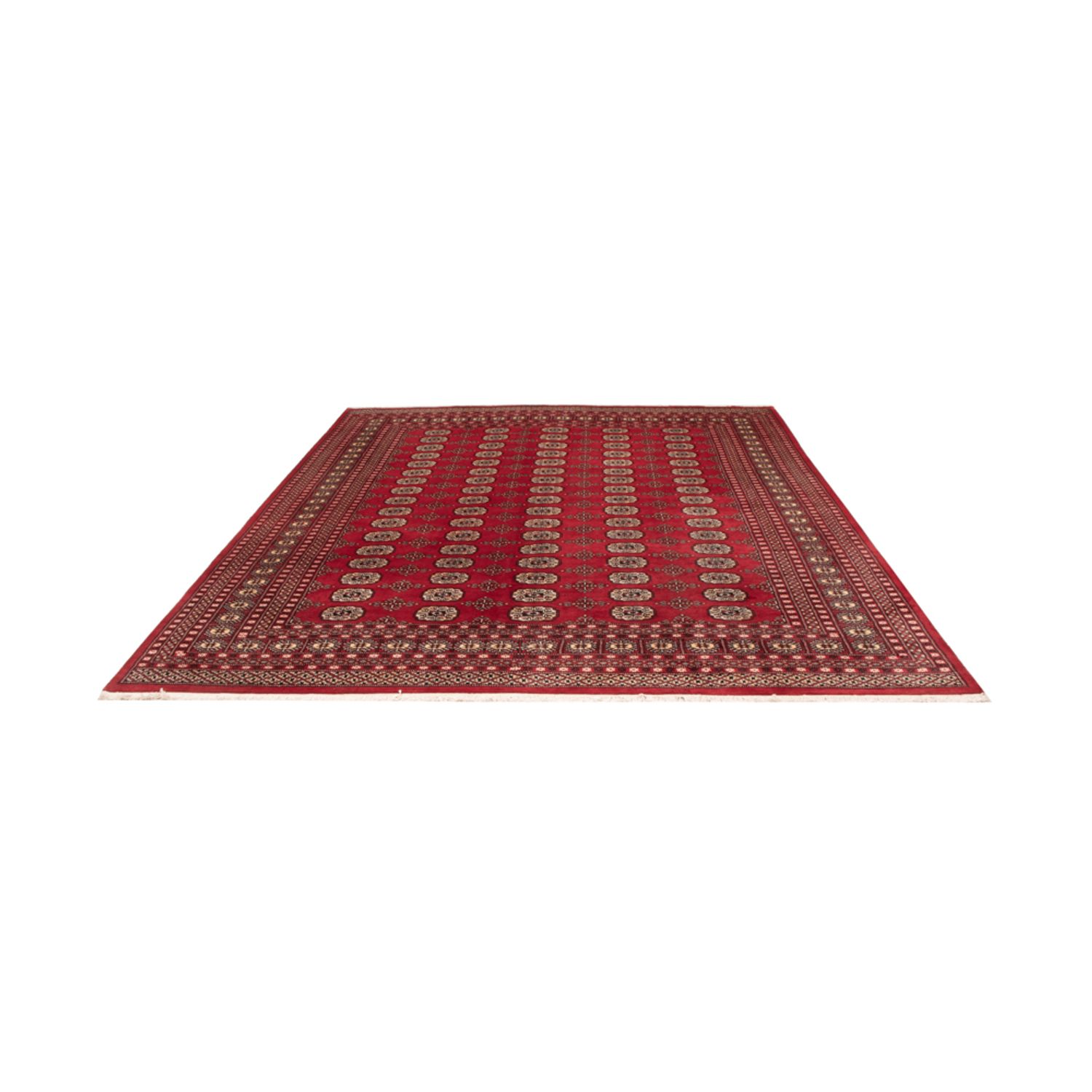 Afghansk teppe - Bukhara - 298 x 243 cm - rød