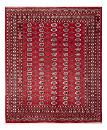 Afghansk teppe - Bukhara - 298 x 243 cm - rød
