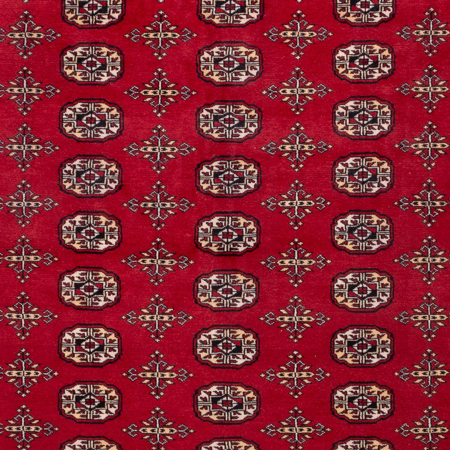 Afghan Teppich - Buchara - 308 x 243 cm - rot