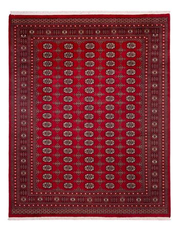 Afghan Teppich - Buchara - 308 x 243 cm - rot