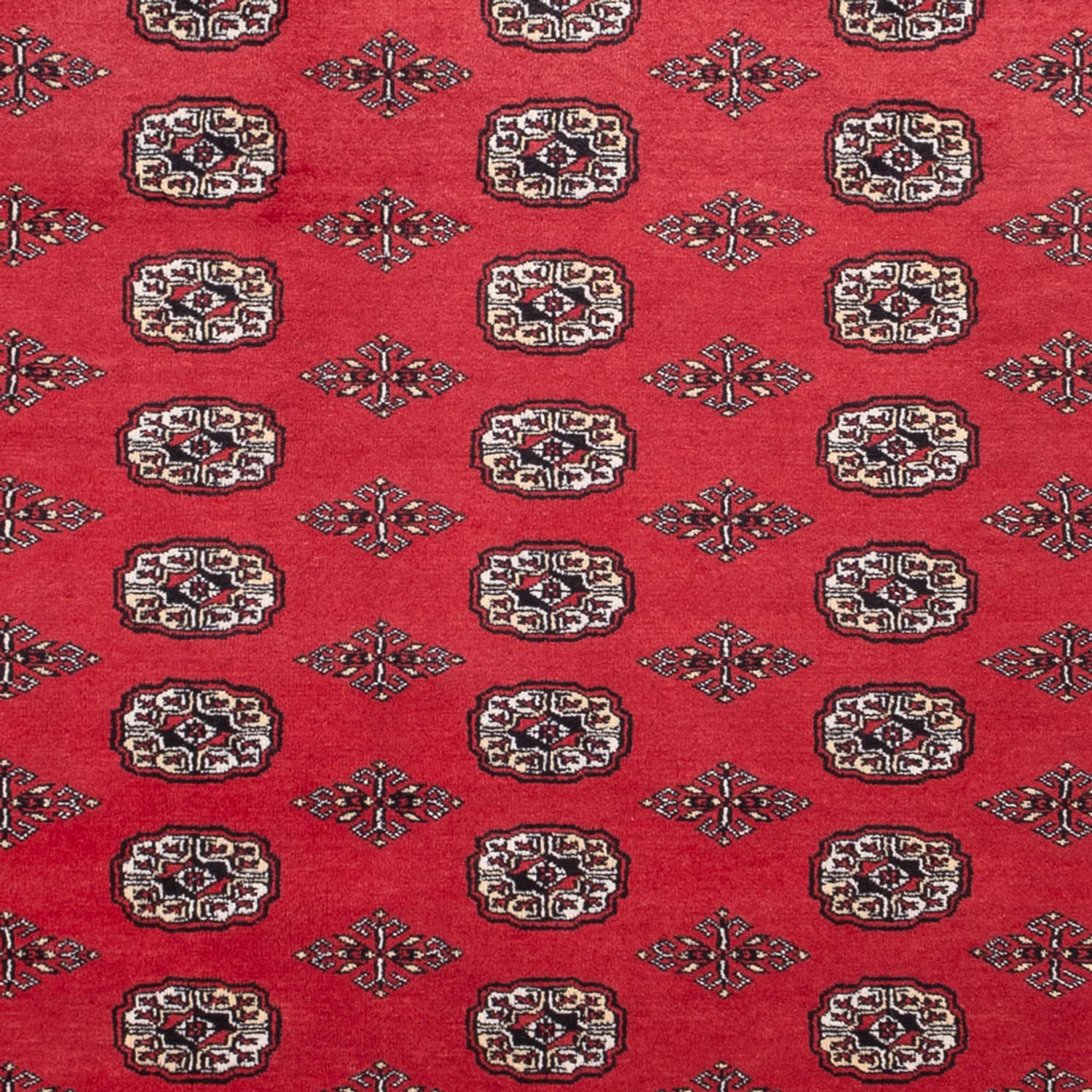Afghan Teppich - Buchara - 305 x 246 cm - rot