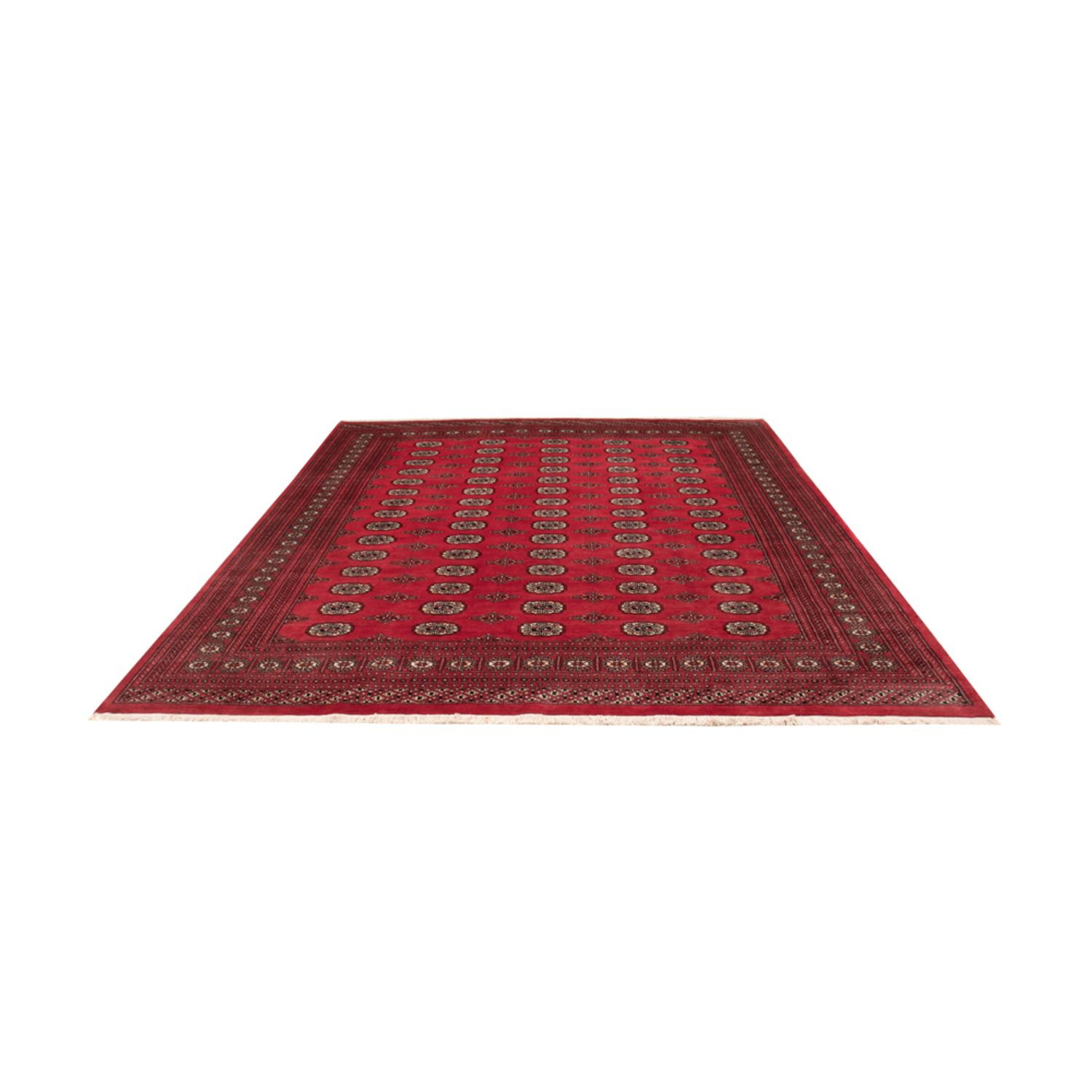 Afghan Teppich - Buchara - 305 x 246 cm - rot