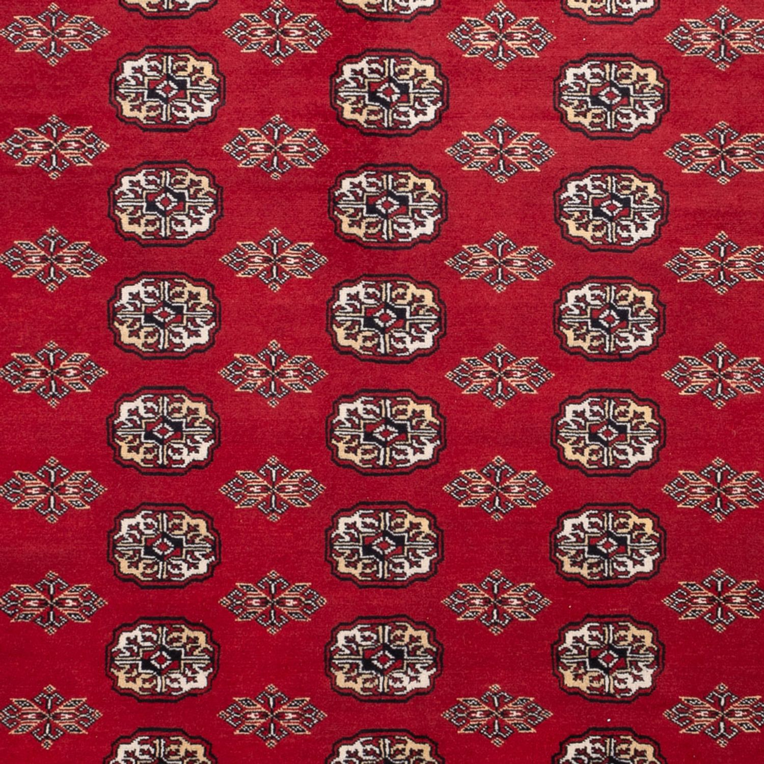 Afghan Teppich - Buchara - 301 x 245 cm - rot