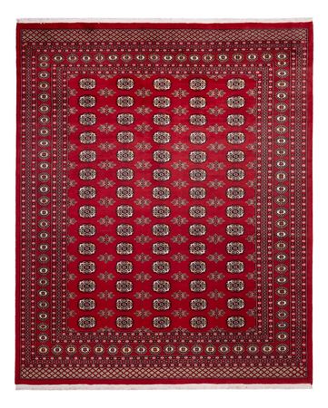 Afghan Teppich - Buchara - 301 x 245 cm - rot