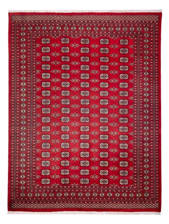 Afghan Teppich - Buchara - 314 x 243 cm - rot