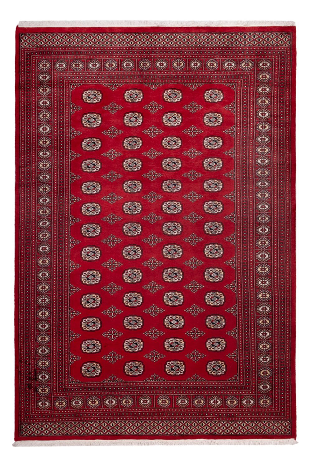 Afgański dywan - Bukhara - 290 x 200 cm - czerwony