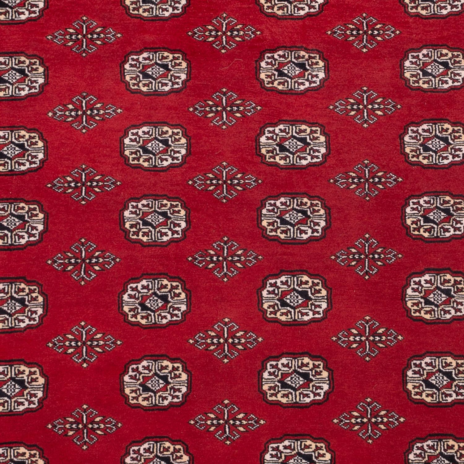 Afgański dywan - Bukhara - 290 x 200 cm - czerwony