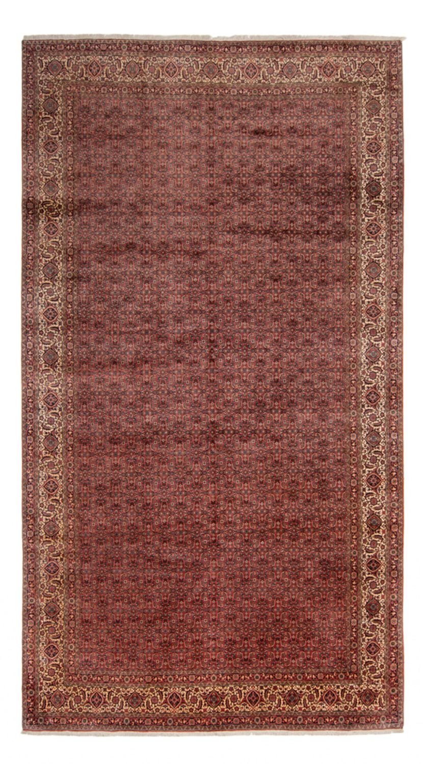 Persisk teppe - Bijar - Royal - 482 x 256 cm - brun