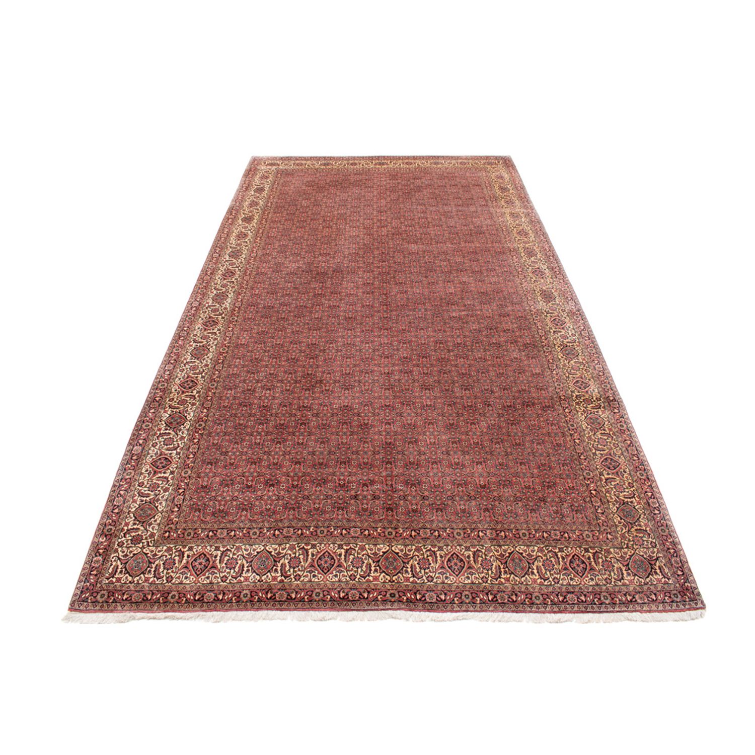 Persisk teppe - Bijar - Royal - 482 x 256 cm - brun