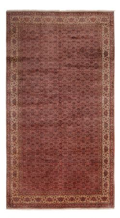 Persisk teppe - Bijar - Royal - 482 x 256 cm - brun