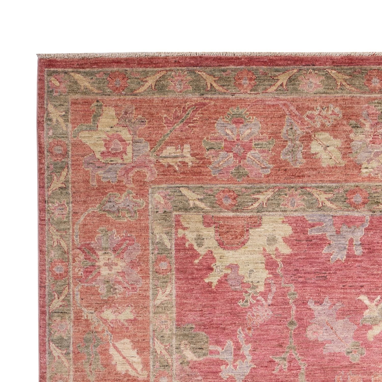 Ziegler Rug - Usak - 301 x 198 cm - light red