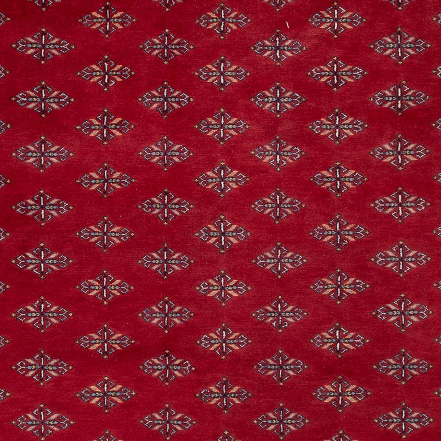 Afghan Rug - Bukhara - 350 x 253 cm - red