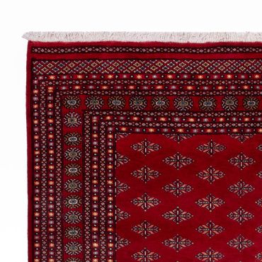 Afghan Rug - Bukhara - 350 x 253 cm - red