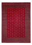 Afghan Rug - Bukhara - 350 x 253 cm - red