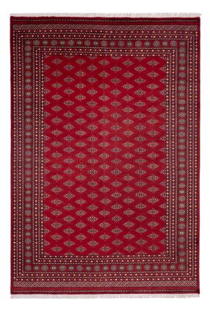 Afghan Rug - Bukhara - 365 x 249 cm - red