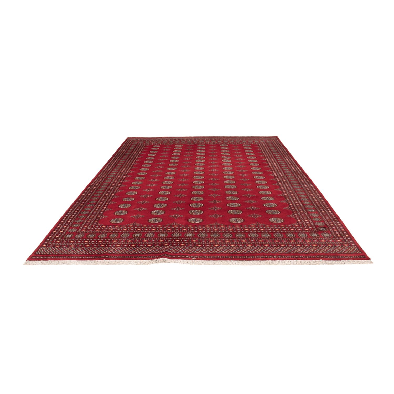 Afghan Rug - Bukhara - 380 x 277 cm - red